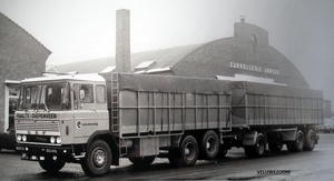 DAF-2600