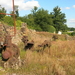 39 - Oradour sur Glane 035