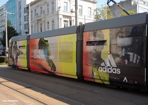 7203 lijn4 'CAUSE CHAOS ADIDAS CONTROL EVERYTHING BETHEDIFFERENCE