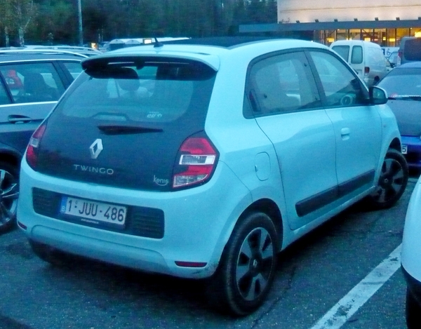3inch_P1410320_Licence-Plate_Juu_Renault-Twingo