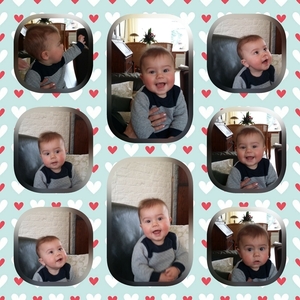 2016-01-06 collage Lewis