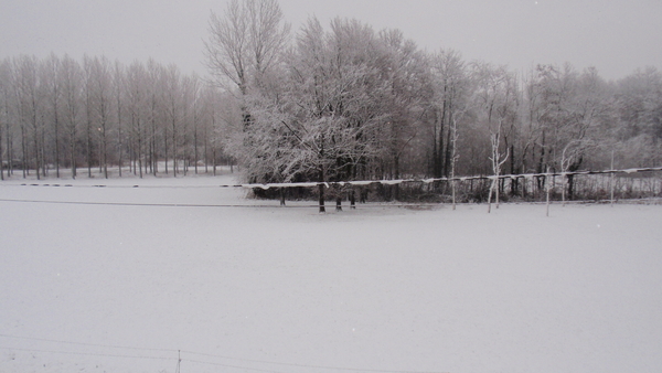 EERSTE SNEEUW WINTER 2015-2016 (13)