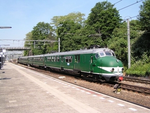 Hondekop 766 van de St. Mat'54 Arnhem(10-6-2006)