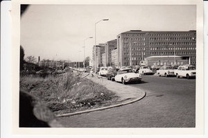 De 1ste van den Boschstraat (nu Pr. Clauslaan) in de jaren zestig