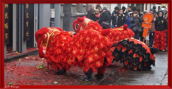 Antwerpen, Chinees Nieuwjaar, Van Wesenbelestraat
