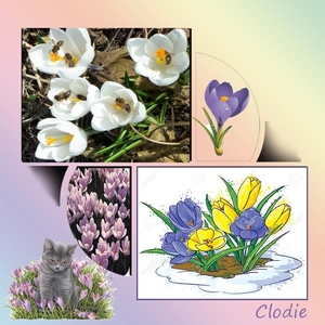 Clodie project 25.1