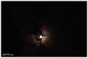 Terras, avond met volle maan.