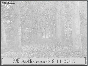 Middelheimpark. 8-11-2015