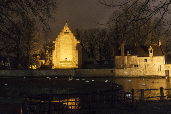 nachtlandschap Brugge