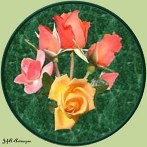 Gele roos met rode rozen op groene achtergrond.