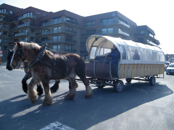 paardenvissers oostduinkerke