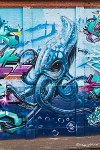 Graffiti Bergem 2016IMG_5236-5236