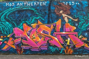 Graffiti Bergem 2016IMG_5276-5276
