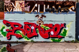 Graffiti Bergem 2016IMG_5317-5317