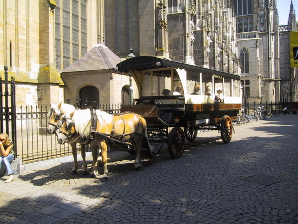 Rondrit met Paarden bij de Sint Jan