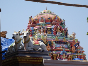 1AB Chennai, Kapaleeswarar tempel _DSC00028