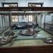 1AH Chennai, Madras museum, archeologisch gedeelte _P1220734