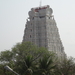 3AB Trichy, Sri Ranganathaswamy tempel _DSC00234