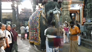 3BF Madurai, Meenakshi tempel _IMG_20160316_173056