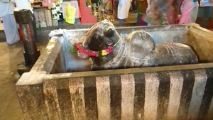 3BF Madurai, Meenakshi tempel _IMG_20160316_174110