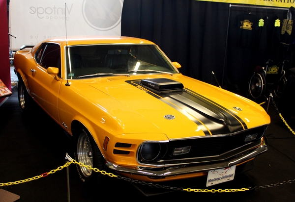 2016_02_14_Gent_Ford-Mustang_IMG_3244