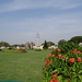 8F Mysore, Mahajara Palace _DSC00525