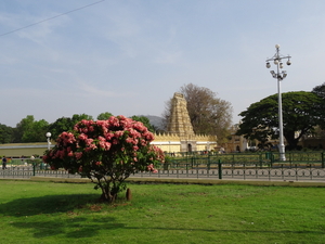 8F Mysore, Mahajara Palace _DSC00540