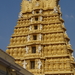 8O Mysore omg. Ranganthasamy tempel _DSC00628