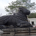 8R Mysore omg.  Bull Temple _DSC00641