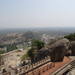 9E Sravanabelagola, Jain tempel _DSC00691