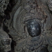 9G Halebid, Hoysaleswara tempel _DSC00715