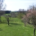La msange bleue - tuin met uitzicht