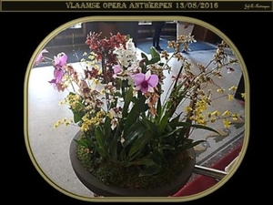 Vlaamse Opera Antwerpen 13-05-2016.