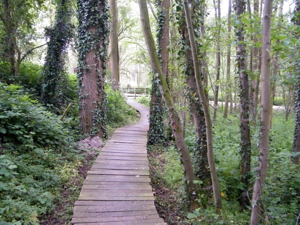 Pajotten Pinksterwandeling