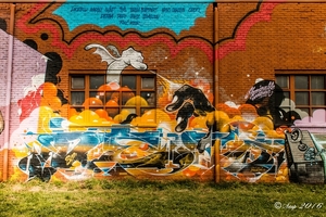 Graffiti 2016 (9 van 27)