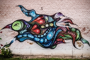 Graffiti 2016 (25 van 27)
