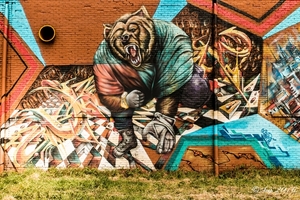 Graffiti 2016 (1 van 27)