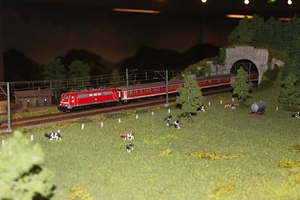 Schwarzwald Modell Bahn