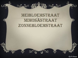 Meibloemstraat, Mimosastraat, Zonnebloemstraat.