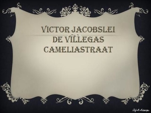 Victor Jacobslei, De Villegas, Cameliastraat.