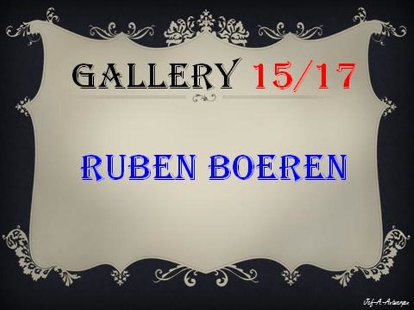 Antwerpen, Vernisagge, Gallery 15/17, Ruben Boeren,