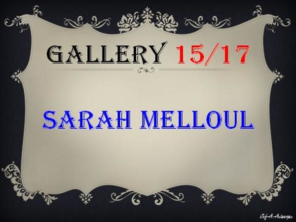 Antwerpen, Vernisagge, Gallery 15/17, Sarah Melloul,