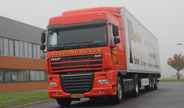 DAF-XF Riggeling Duiven