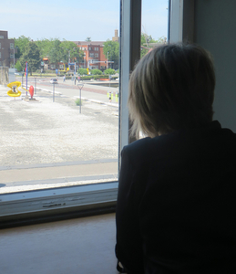 Meisje bij het raam (Vrij naar Vermeer en Dali)