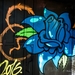 Graffiti 2016 (4 van 141)