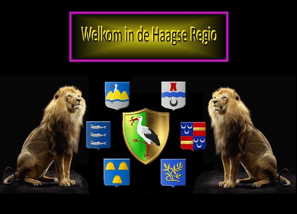 Regio Den Haag