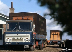 DAF-2600