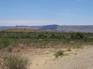 3C Namib woestijn _DSC00156