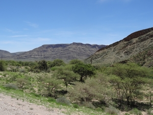 3C Namib woestijn _DSC00167