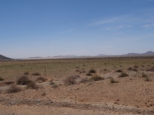 3C Namib woestijn _DSC00174